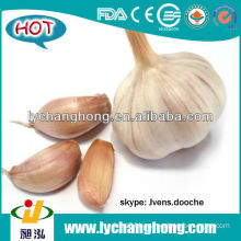 Normal White Garlic 8kg/9kg/10kg/box for the Middle East Market